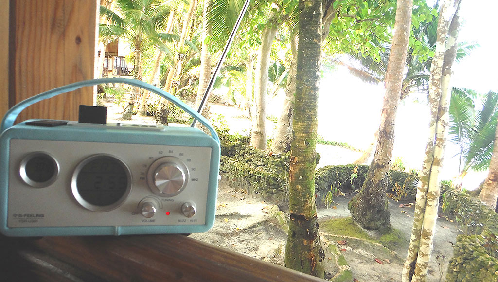 radio and coconut tree image